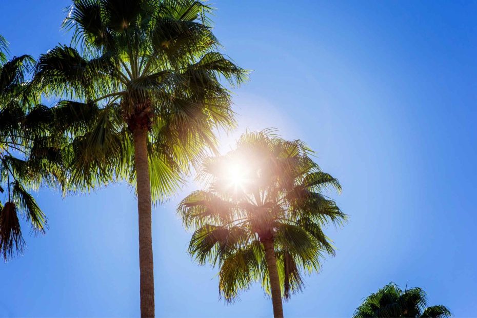 Orlando airport transfers